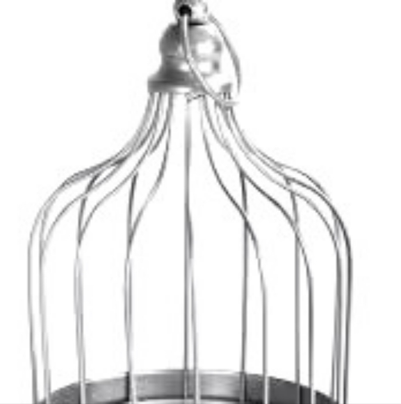 Wire Cloches - Picture 13 of 14